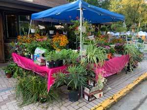 plant pathology