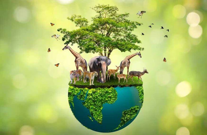 Biodiversity