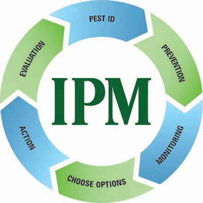 IPM Model